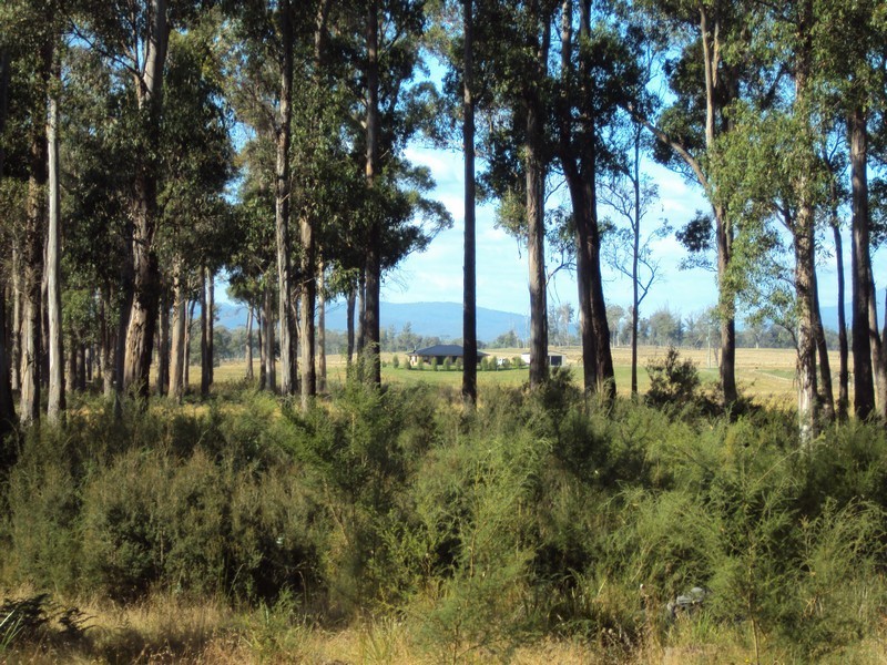 707 Winkleigh Road, Exeter TAS 7275