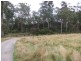 707 Winkleigh Road, Exeter TAS 7275