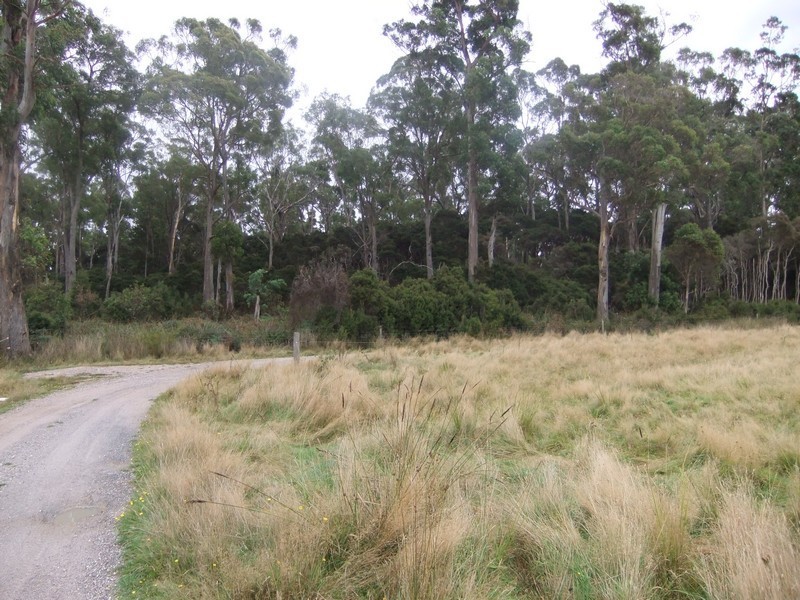 707 Winkleigh Road, Exeter TAS 7275