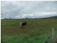 707 Winkleigh Road, Exeter TAS 7275