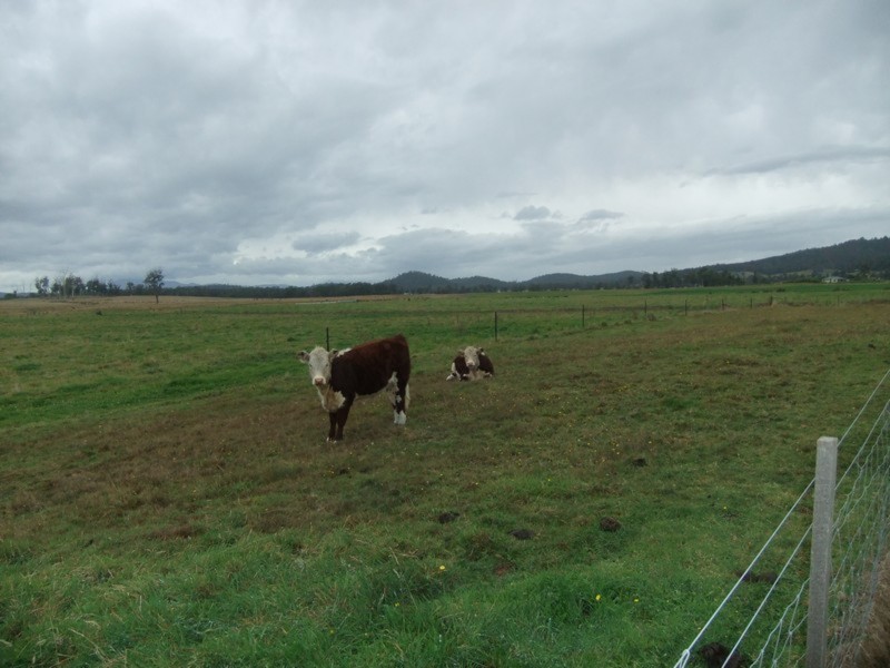 707 Winkleigh Road, Exeter TAS 7275