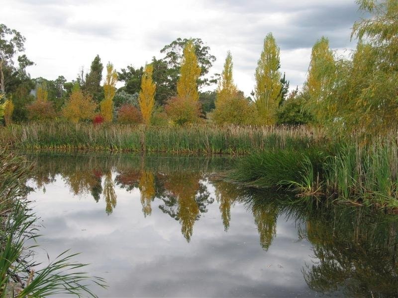 115 Everest Road, Exeter TAS 7275