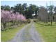 115 Everest Road, Exeter TAS 7275