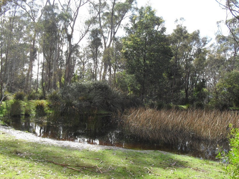 115 Everest Road, Exeter TAS 7275