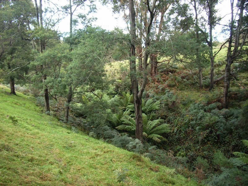 969 Frankford Road, Glengarry TAS 7275