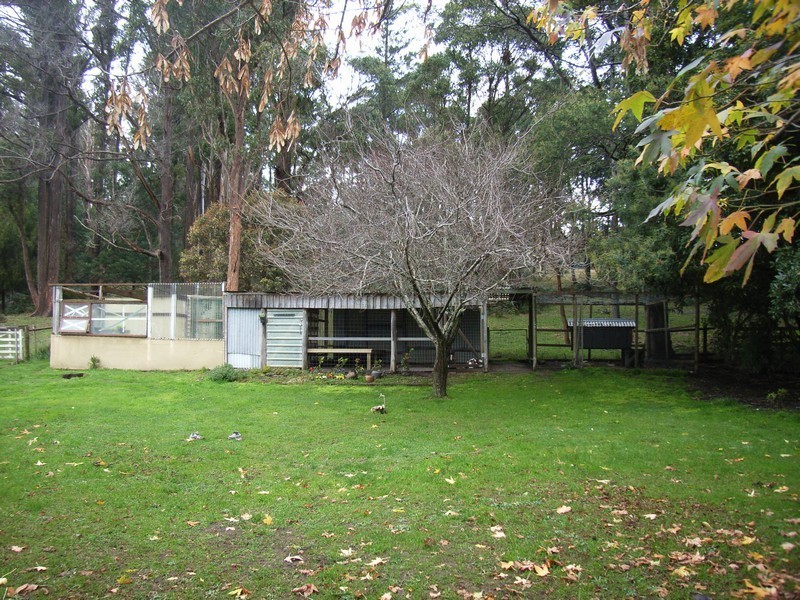 969 Frankford Road, Glengarry TAS 7275