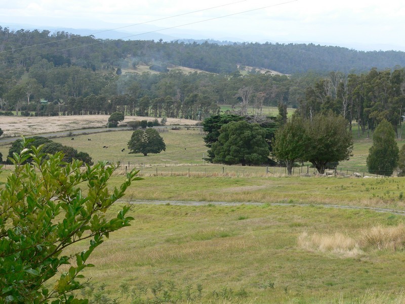 2897 West Tamar Hwy, Loira TAS 7275