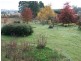 399 Loop Road, Glengarry TAS 7275