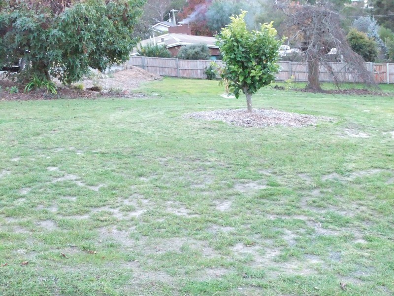 17 Killara Avenue, Lanena TAS 7275