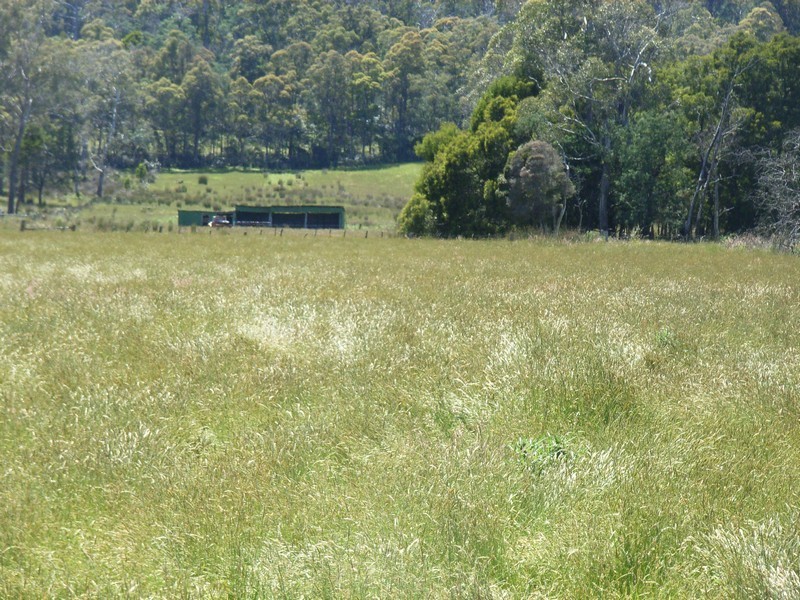 3172 West Tamar Hwy, Loira TAS 7275