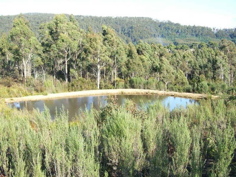 149 Ginns Road, Birralee TAS 7303