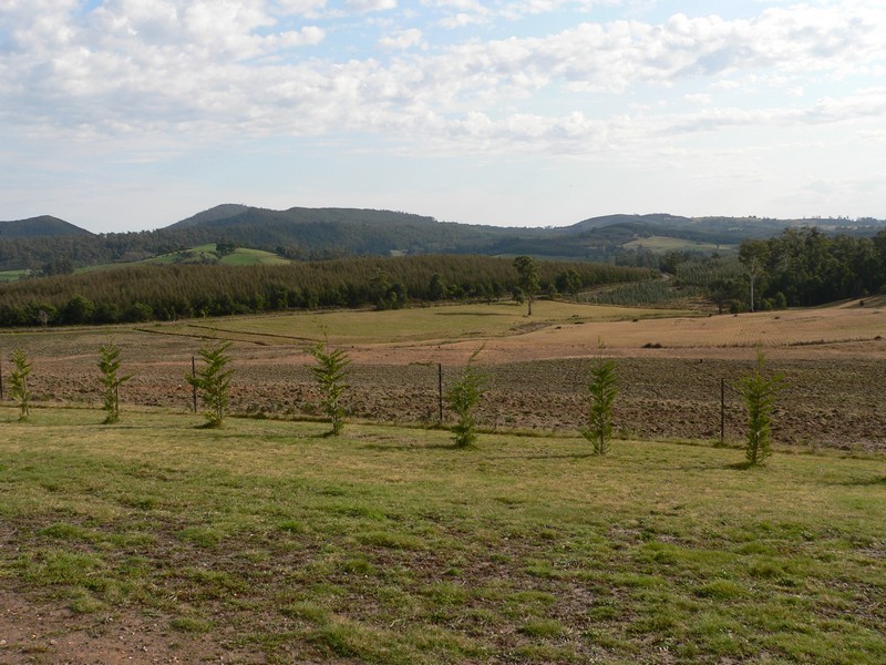 232 Lamont Road, Glengarry TAS 7275