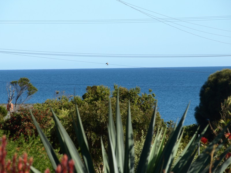 Lot 1 Top Road West, Greens Beach TAS 7270