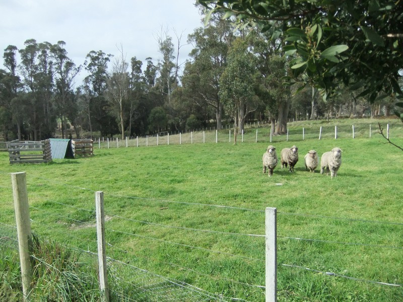 41 Glendale Road, Sidmouth TAS 7270