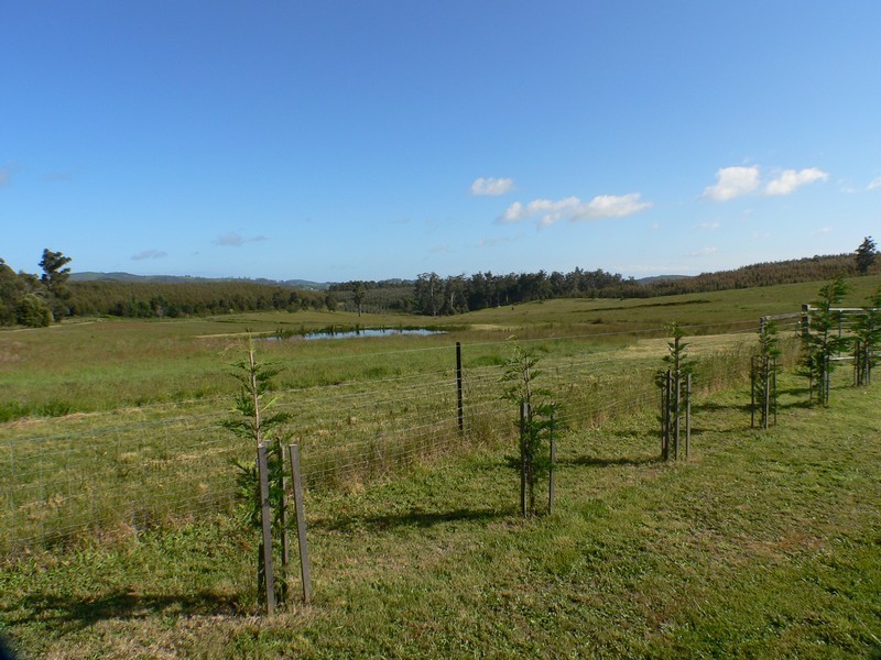 232 Lamont Road, Glengarry TAS 7275