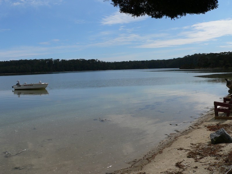 Site 74 Beauty Point Tourist Park, Beauty Point TAS 7270
