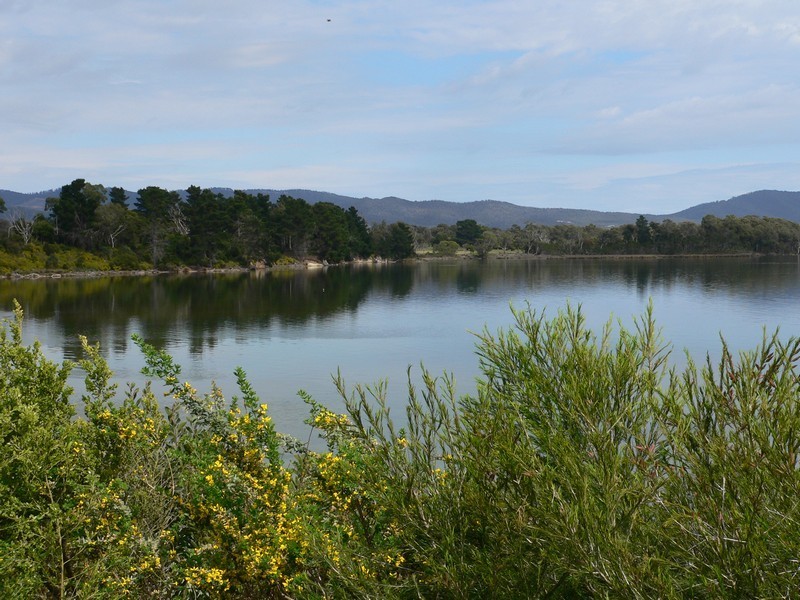 Site 74 Beauty Point Tourist Park, Beauty Point TAS 7270