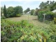 672 West Tamar Hwy, Legana TAS 7277