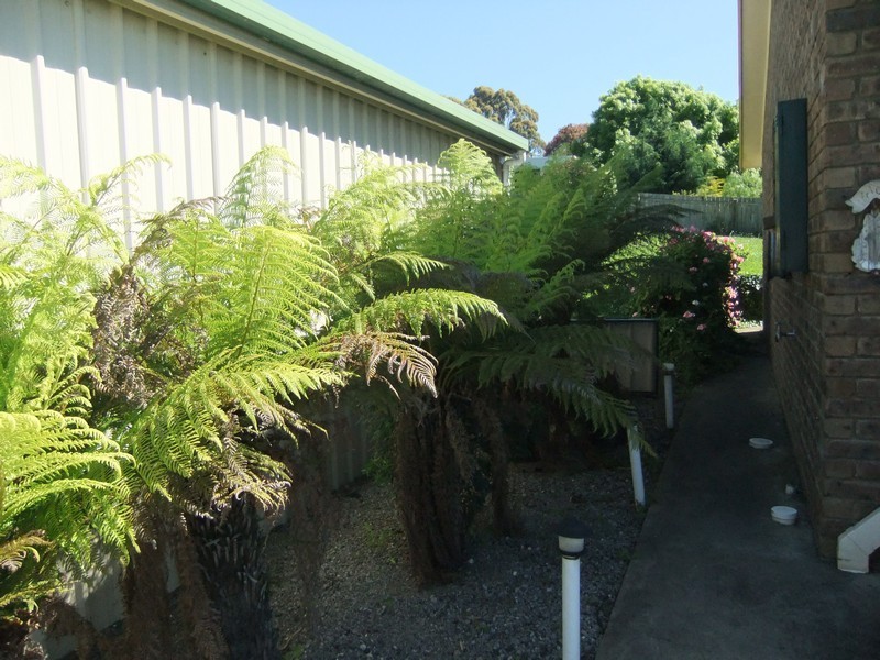 501 West Tamar Hwy, Riverside TAS 7250