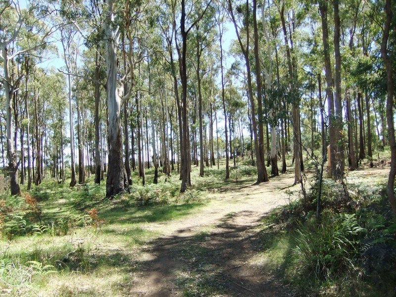 340 Ecclestone Road, Riverside TAS 7250