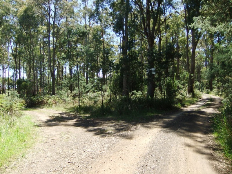 340 Ecclestone Road, Riverside TAS 7250