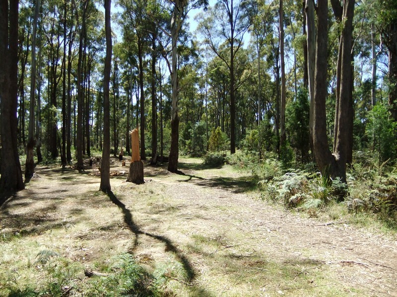 340 Ecclestone Road, Riverside TAS 7250