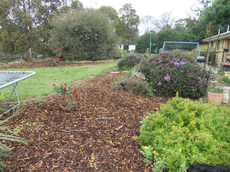 17 Camms Road, Kayena TAS 7270