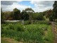 3 Pedley Place, Legana TAS 7277