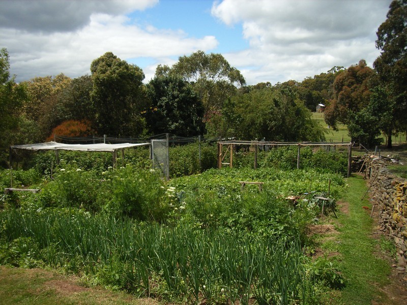 3 Pedley Place, Legana TAS 7277
