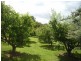 3 Pedley Place, Legana TAS 7277