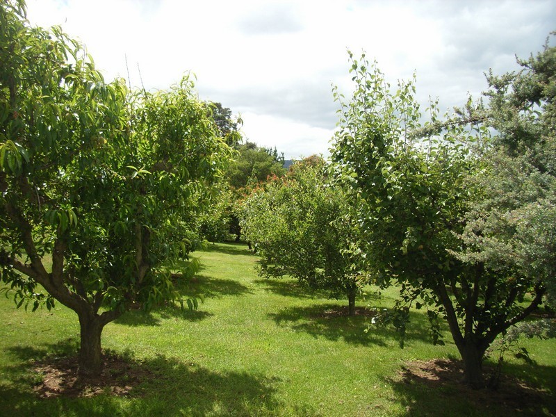 3 Pedley Place, Legana TAS 7277