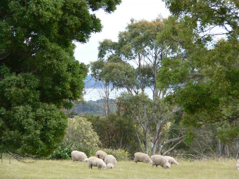 378 Rowella Road, Kayena TAS 7270