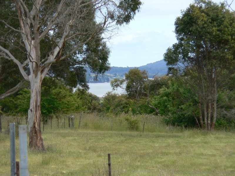 378 Rowella Road, Kayena TAS 7270