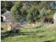 Lot 1 Annears Road, Blackwall TAS 7275