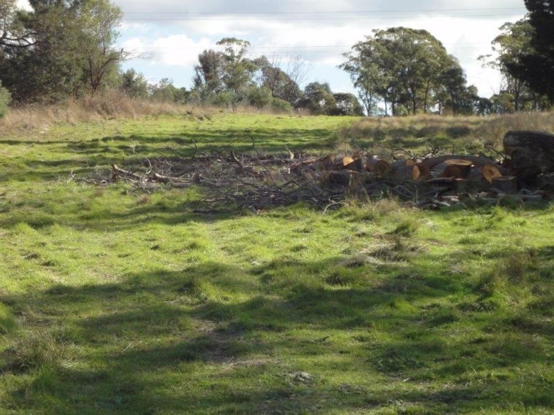 Lot 1 Annears Road, Blackwall TAS 7275