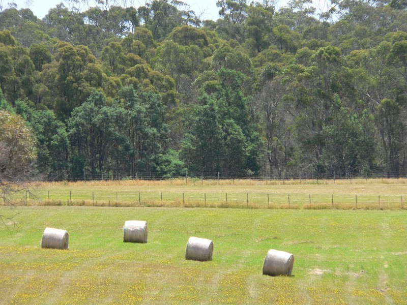 320 Frankford Road, Exeter TAS 7275