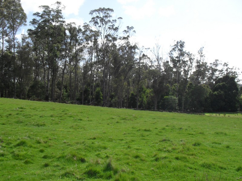 115 Everest Road, Exeter TAS 7275