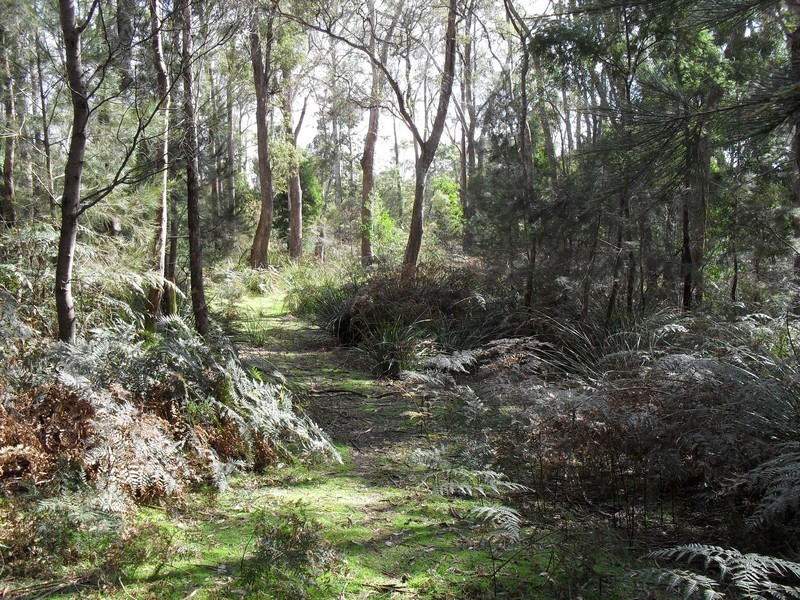 115 Everest Road, Exeter TAS 7275