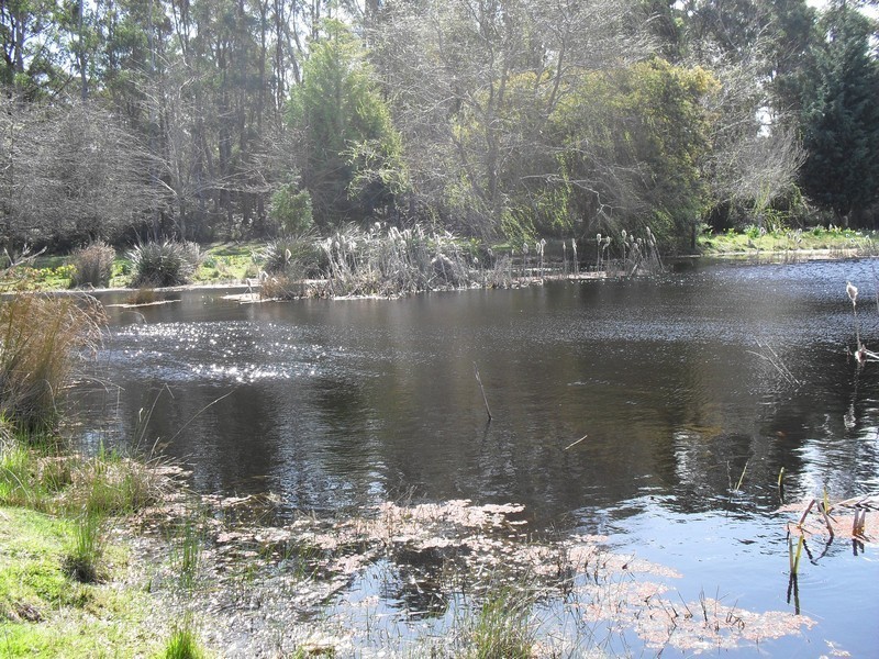 115 Everest Road, Exeter TAS 7275