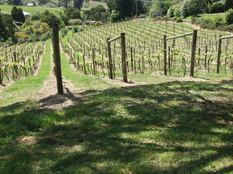 9 Craythorne Road, Rosevears TAS 7277