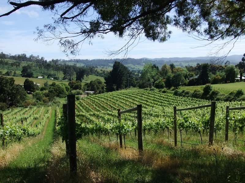 9 Craythorne Road, Rosevears TAS 7277