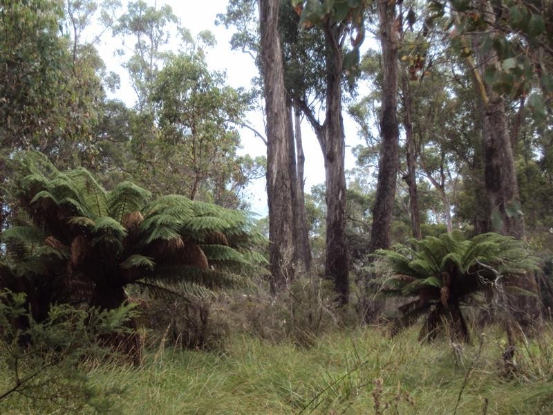 707 Winkleigh Road, Exeter TAS 7275