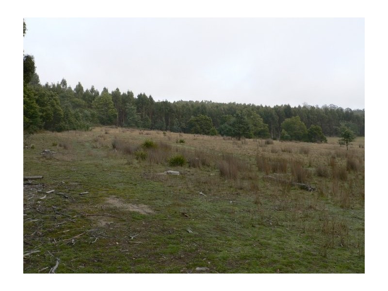 Lot 2 Long Plains Road, Exeter TAS 7275