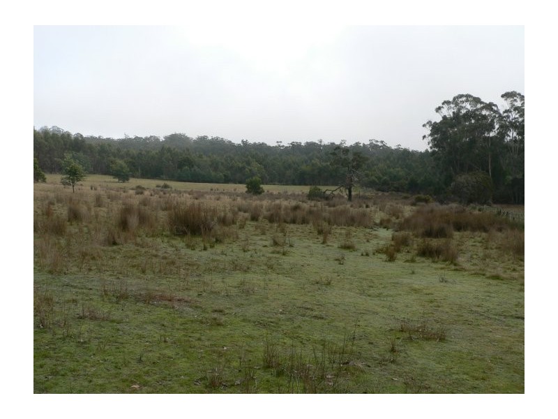 Lot 2 Long Plains Road, Exeter TAS 7275