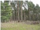 Lot 2 Long Plains Road, Exeter TAS 7275