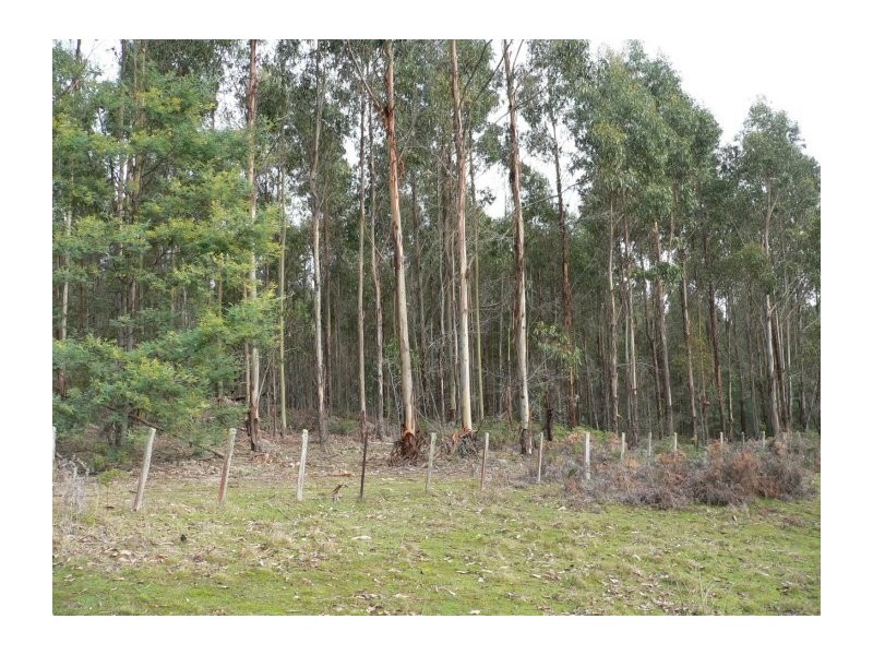 Lot 2 Long Plains Road, Exeter TAS 7275