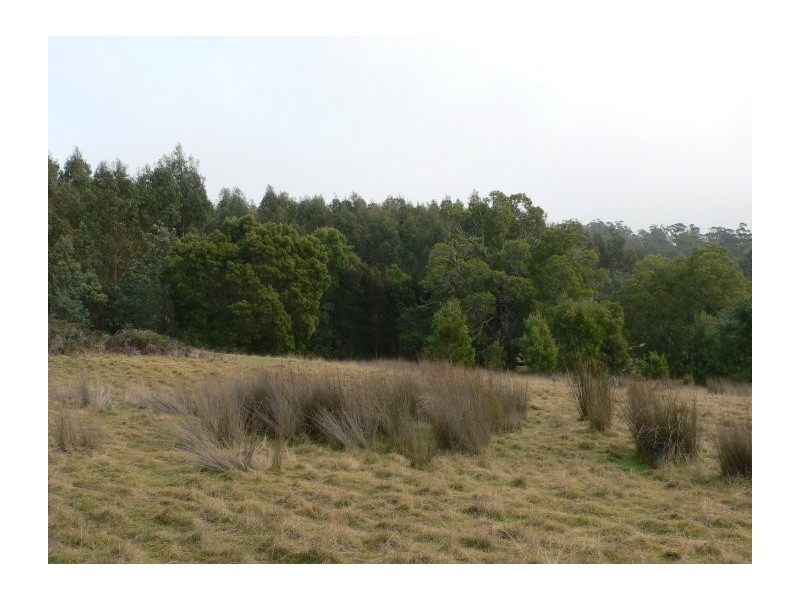 Lot 2 Long Plains Road, Exeter TAS 7275
