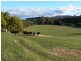 1071 Frankford Road, Glengarry TAS 7275