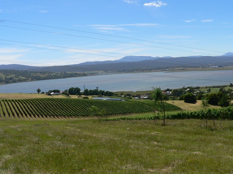 119 Craythorne Road, Rosevears TAS 7277