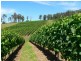 119 Craythorne Road, Rosevears TAS 7277